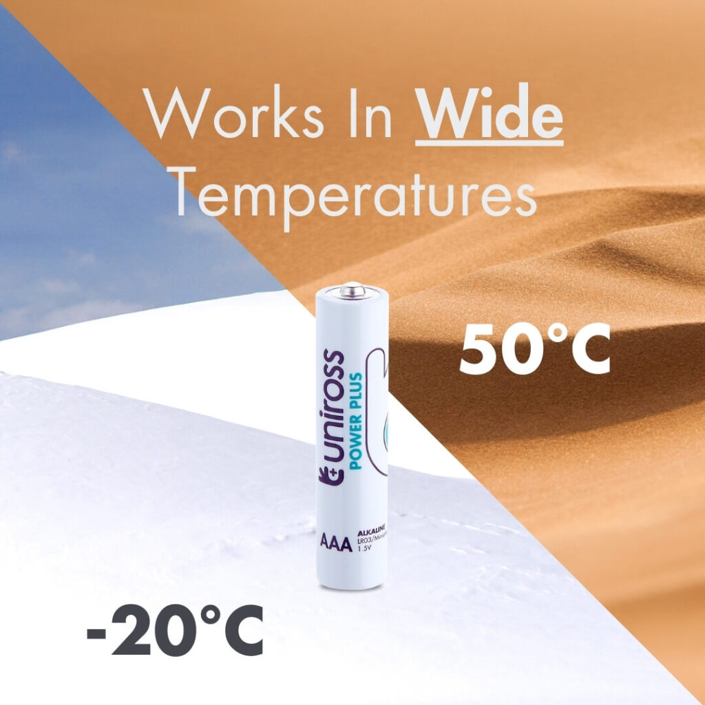Uniross AAA Power Plus Alkaline Batteries (Blister 2)