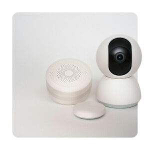 Security Gadgets