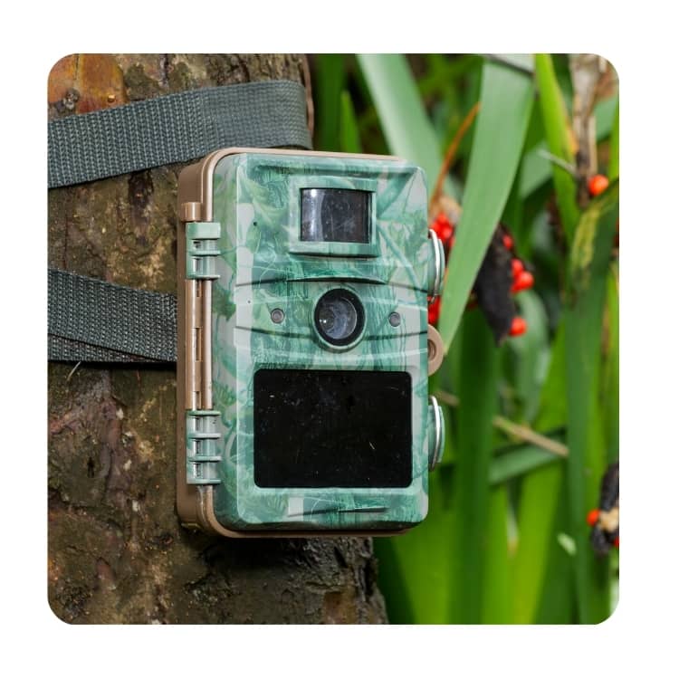 Night Vision Devices