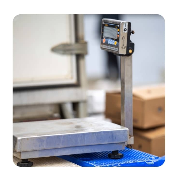 Automated Weighing Systems